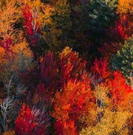 粉象生活有什么收益