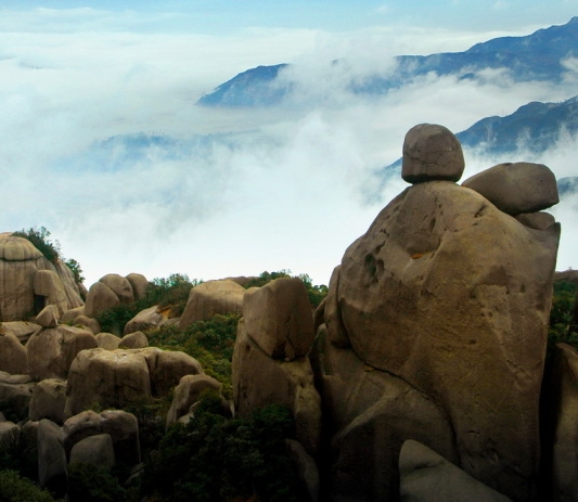 粉象生活团队怎么进入会员