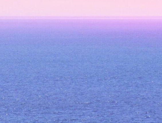 什么是粉象生活平台