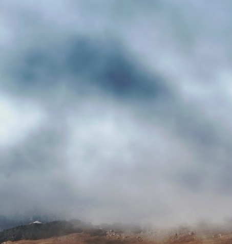 粉象生活真实收入