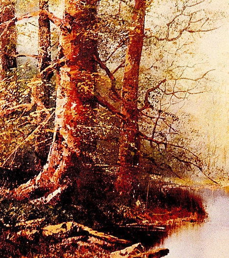 粉象生活怎么赚取佣金