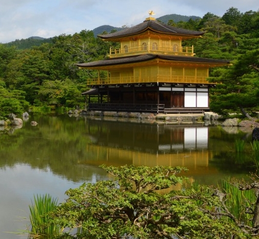 粉象生活佣金图