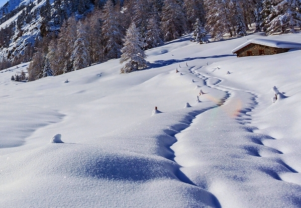 粉象生活怎么填写邀请码