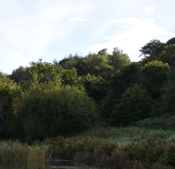 粉象生活怎么注册团队