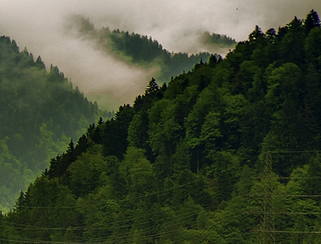 粉象生活的图片怎么上传