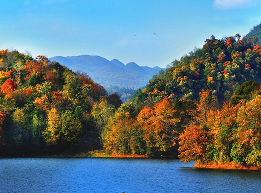 粉象生活是正规平台吗