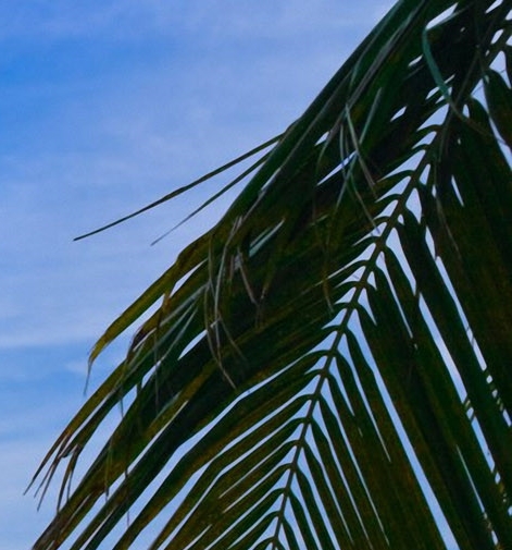 粉象生活好用吗