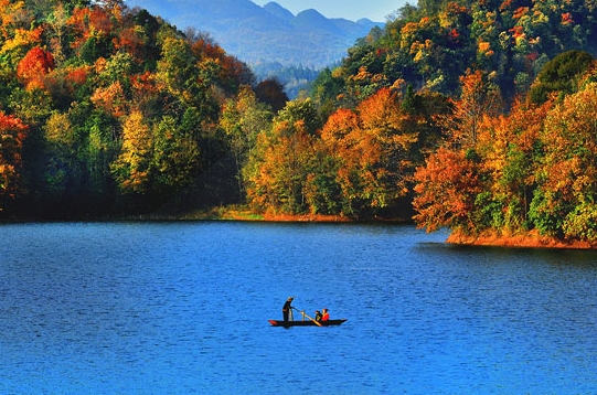 粉象生活新手怎么做