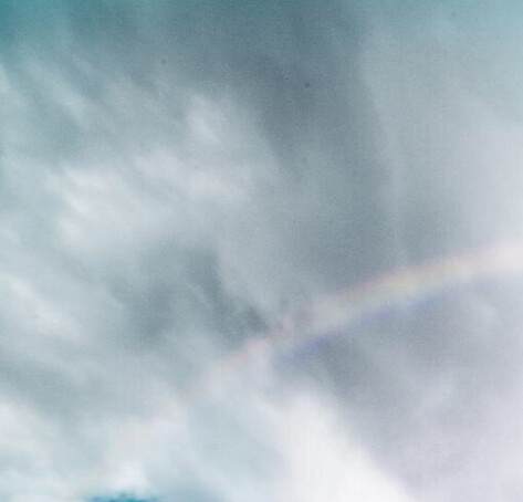 粉象生活赚钱教程