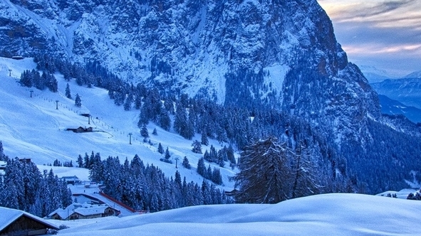 注册粉象生活有风险吗