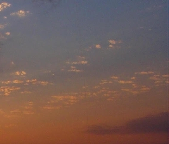 粉象生活加盟条件