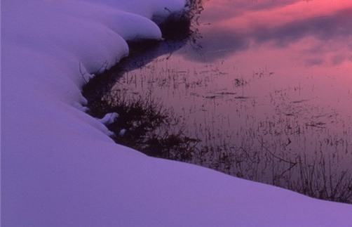 如何成为粉象vip