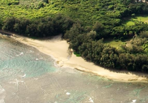 粉象生活怎么改头像