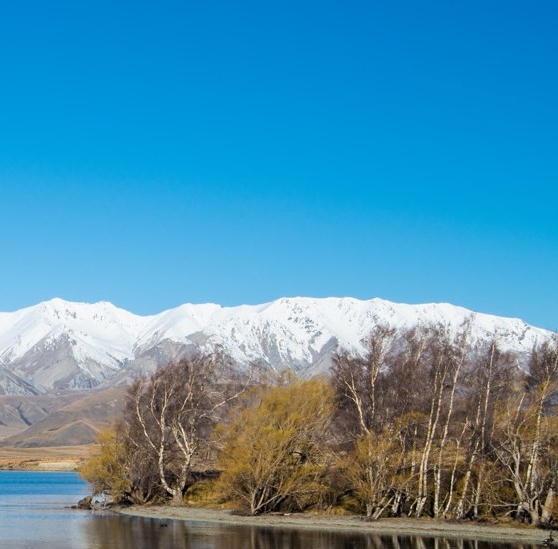 如何启动粉象生活