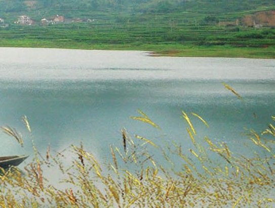 粉象朋友圈背景图