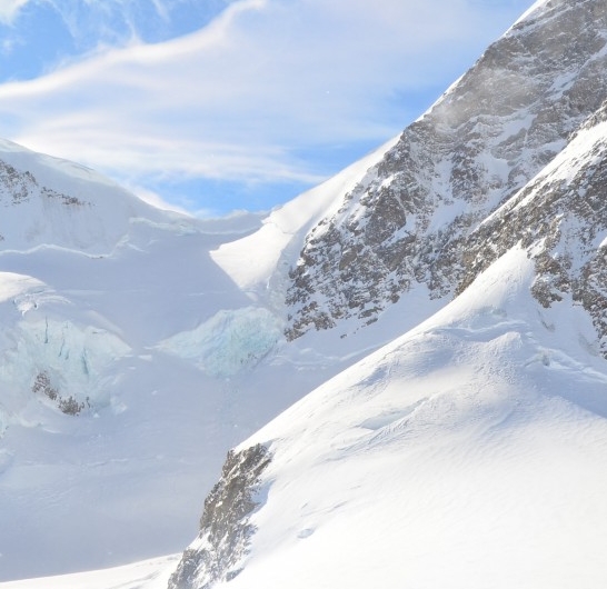 江苏高端粉象生活靠谱么