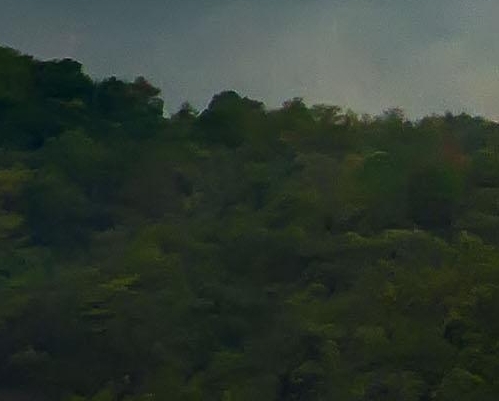 粉象生活上怎么分享赚钱