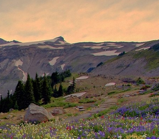 杭州粉象生活公司