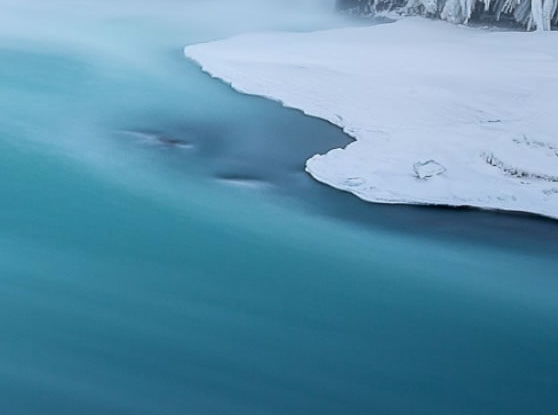 粉象生活送的东西在哪里看