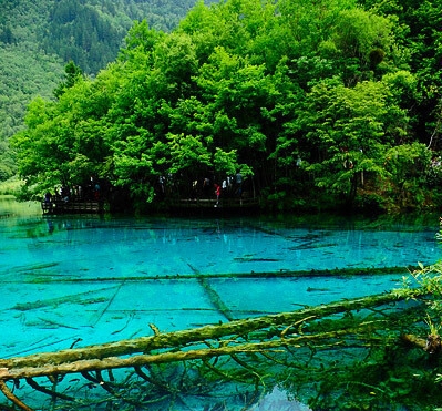 粉象生活朋友圈文案