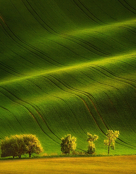 粉象生活如何推广