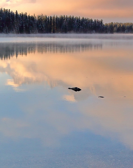 粉象生活如何赚积分