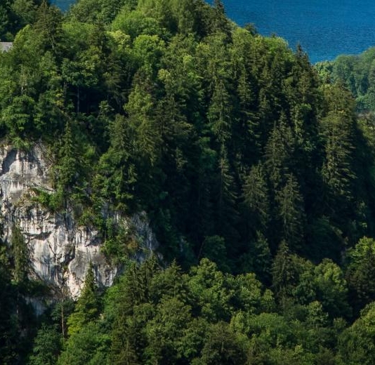 粉象生活logo照片