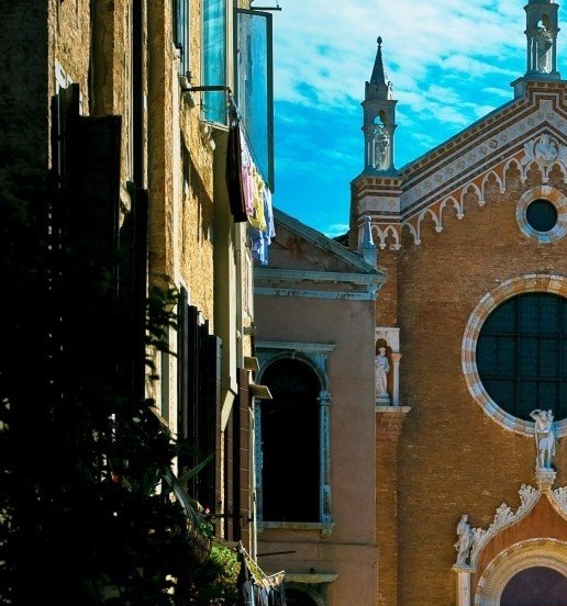 茂名粉象生活图片