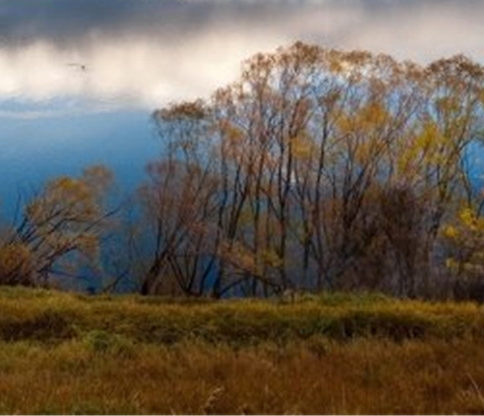 微信朋友圈原始背景图