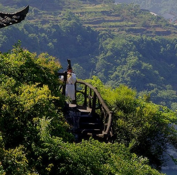 粉象生活和小红书哪个好