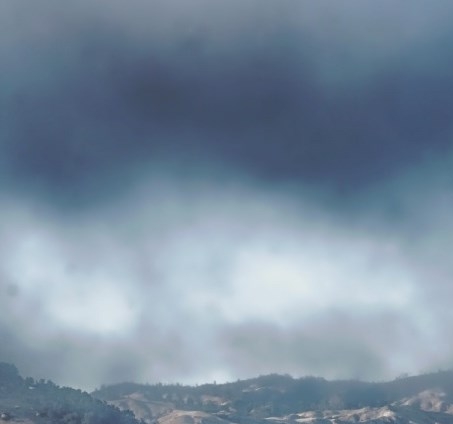 青岛粉象生活vip