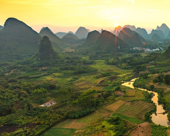 粉象生活下载app