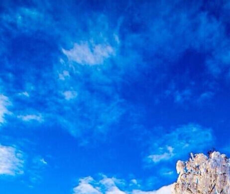 粉象生活邀请码