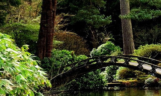 粉象生活需要买东西吗