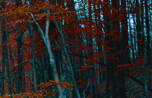 青岛粉象生活收费