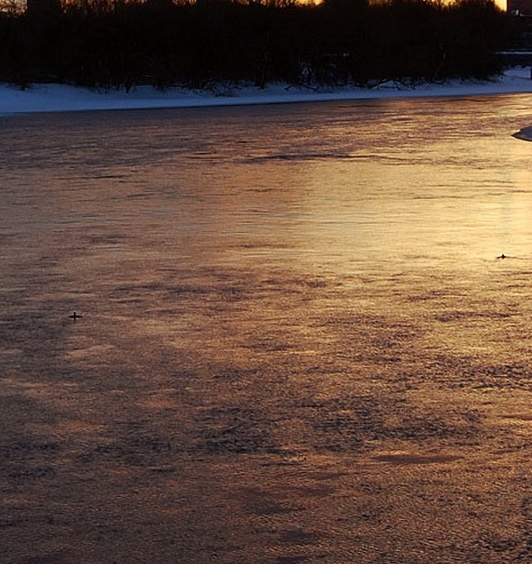 江苏高端粉象生活软件