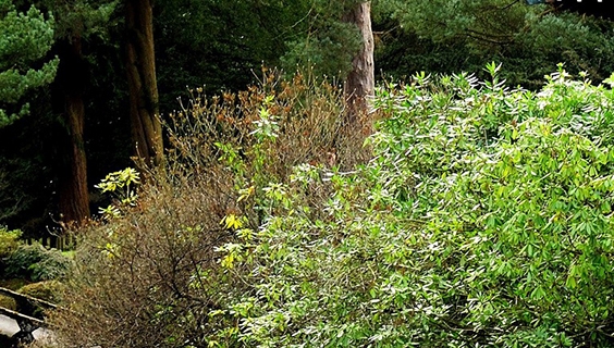 粉象生活不线下