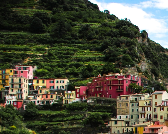 粉象生活招聘司机靠谱吗