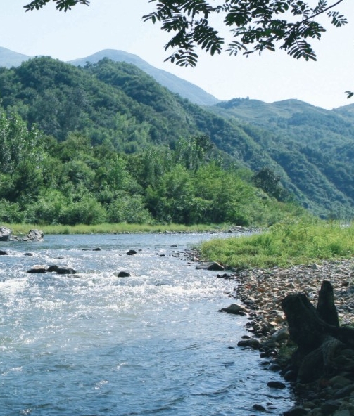 粉象生活能赚到钱吗