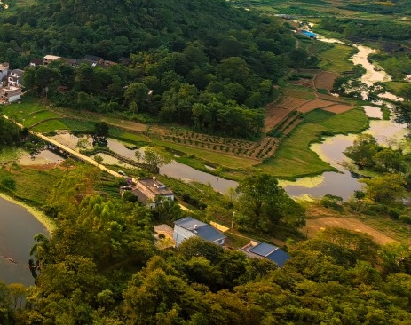 粉象生活是什么