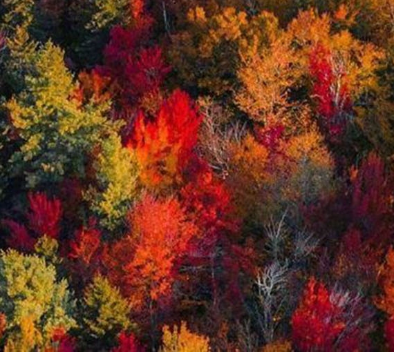 粉象生活优惠力度