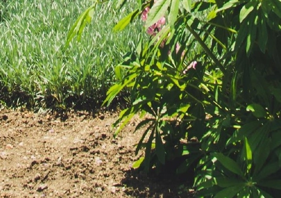 粉象生活哪个商家好