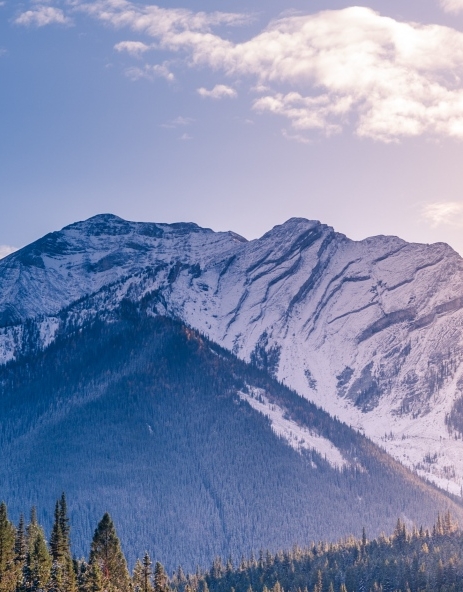 粉象生活怎么取消抢红包