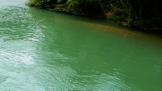 粉象和淘宝联盟哪个佣金高