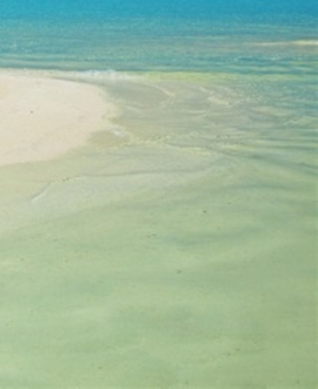 粉象生活会员买东西怎么用