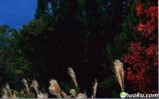 江西创新粉象生活软件