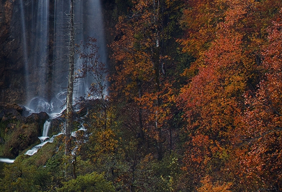 粉象生活粉丝怎么增加