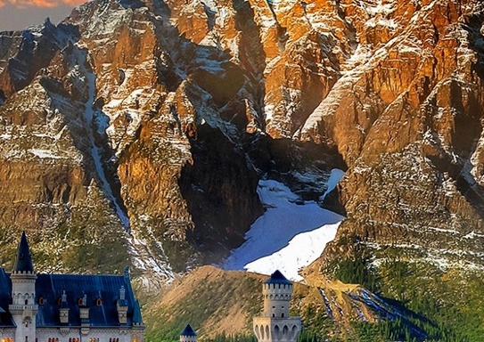 粉象生活怎样注册vip粉象生活