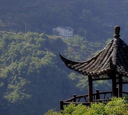 江西粉象生活电话