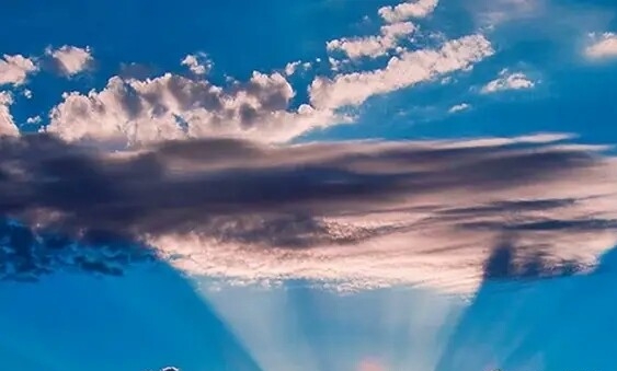 粉象生活真实收入